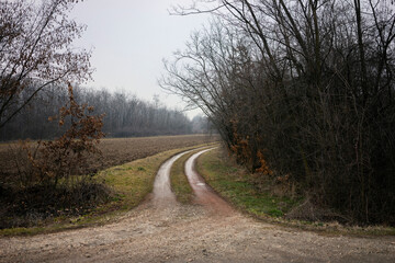 Fototapeta premium Landscapes of the Serbian countryside during winter