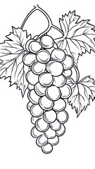 Minimalist Vector Illustration of Grapes with Leaves for Coloring Books