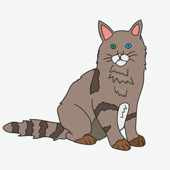 cute Grey Cat with Heterochromia