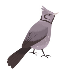 Fictional gray bird with a crest. View from the back. Wildlife. Cute songbird. Protection of endangered species. Clipart elements for creating ornaments and patterns. Vector illustration.