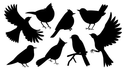 8 silhouettes of birds in flight and different poses. Wildlife. Clipart elements for creating ornaments and patterns. Vector illustration.