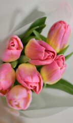 Obraz premium White Snowdrops and Pink Tulips Bouquet, International Women's Day Celebration