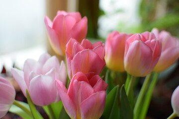 Obraz premium White Snowdrops and Pink Tulips Bouquet, International Women's Day Celebration