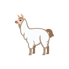 Vector illustration of llama. Cute llama cartoon clipart, in flat style. Farm animals concept. 