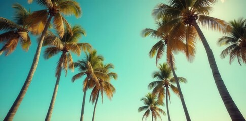 Obraz premium Retro faded photo, tall palms, idyllic summer scene, retro, old