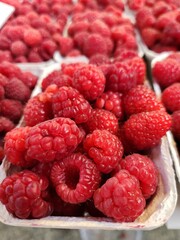 juicy bright red ripe raspberries in a basket for sale