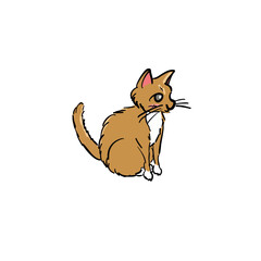 cat