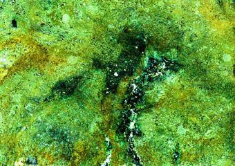 Textured abstract background. Different shades of green, turquoise, olive, white. Chaotic spots scattered on the background. Many small dots. Noise texture. Colors mix, forming new shades and textures