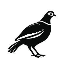 Obraz premium black silhouette of a partridge