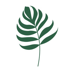 Aesthetic Leaf Illustration