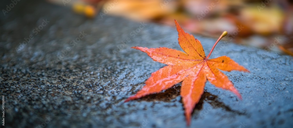 Poster vibrant orange autumn leaf resting on a dark wet surface with blurred golden foliage in the backgrou