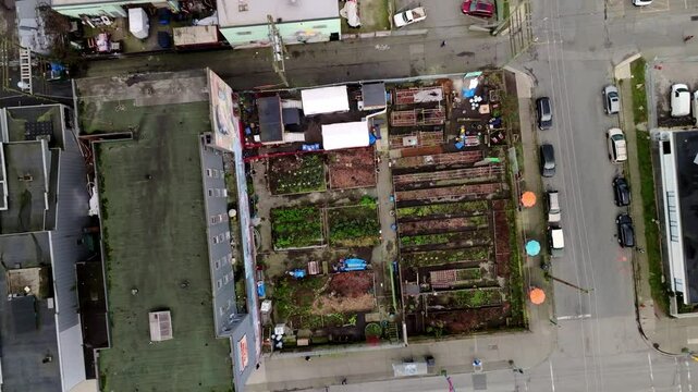 Community Garden On Hawks Avenue And East Hastings Street In Vancouver, BC, Canada. aerial topdown, rotating shot