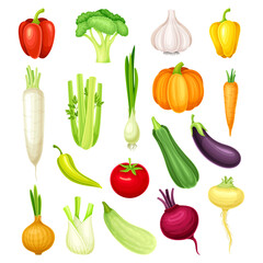 Raw Vegetables and Organic Healthy Food Vector Set