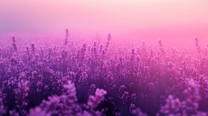 Naklejka premium Gradient from soft lavender to deep purple, creating a dreamy and mystical mood 