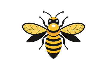 bee on white background