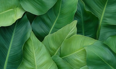 Lush Green Leaves with Sparkling Texture