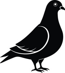 Pigeon Bird Silhouette Vector Illustration, Best Pigeon Icon