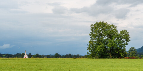 Tranquil Countryside of Hohenschwangau