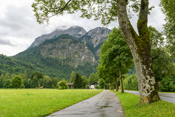 Lush Green Meadows of Hohenschwangau