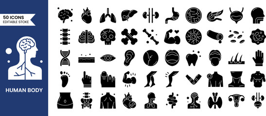 Anatomy icons set in solid style. Containing eye, nose, mouth, ear, brain, head, hand, stomach, heart, kidneys, liver, lungs and more. Human body part and organs. Vector illustration