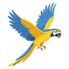 Obraz premium Parrot macaw yellow blue flying vector illustration. Exotic tropical bird on isolated background.