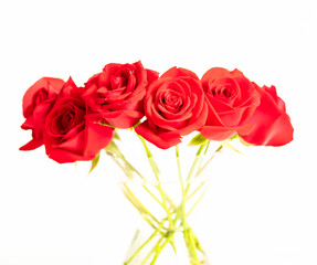 Red roses in a glass vase over white background
