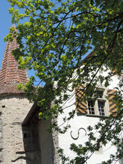 Türmchen und mittelalterliche Mauern hinter einem Eichenbaum