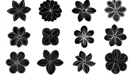 Black floral designs; graphic elements; white background; design resource