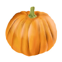 Obraz premium pumpkin isolated 