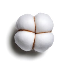 Fluffy Cotton Boll  Tied  White  Natural Fiber  Texture