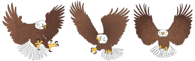 Majestic Bald Eagles in Flight — Detailed Vector Illustration