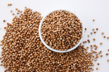 白い器に盛ったコリアンダーシード　白背景