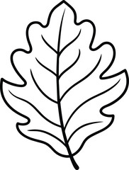 Autumn Oak Leaf Outline – Seasonal Fall Foliage Vector Illustration