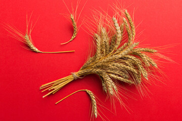 Sheaf of wheat ears close up and seeds on colored background. Natural cereal plant, harvest time...