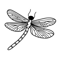 A dragon fly happy Halloween concept, black and white hand drawn line art illustration 