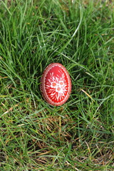 Traditional hand-dyed and hand-painted Easter egg on the green grass in Poland called pisanka or kroszonka or kraszonka