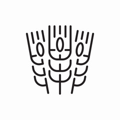 Wheat grain agriculture icon vector sign