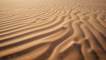 Wavy Sand Dunes Texture with Soft Shadows