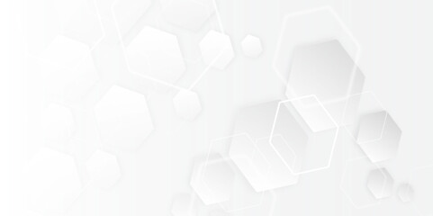 The Power of Geometric Simplicity: An Exploration of Hexagonal Patterns, White and Gray Tones, and Their Impact on Digital Design and Technology
