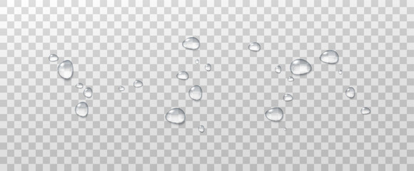 Realistic vector water drops png on a transparent light background. Water condensation on the surface with light reflection and realistic shadow. 3d vector illustration