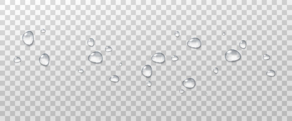 Realistic vector water drops png on a transparent light background. Water condensation on the surface with light reflection and realistic shadow. 3d vector illustration