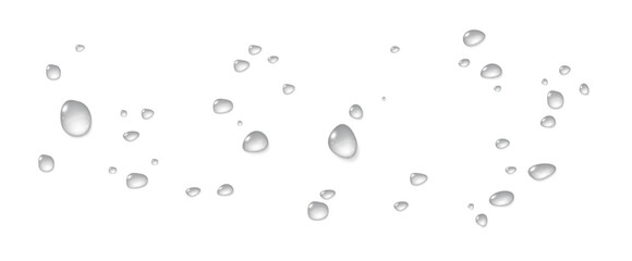 Realistic vector water drops png on a transparent light background. Water condensation on the surface with light reflection and realistic shadow. 3d vector illustration