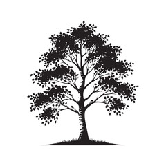 Obraz premium Silhouette of Basswood Tree - Minimalistic Basswood Tree - Basswood tree Vector - Basswood Tree Illustration.