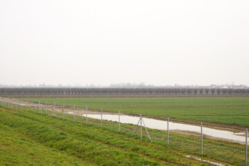 Fototapeta premium Agriculture in Serbia: a fenced unplowed field covered with green grass and plantations of fruit trees in the background. Landscape taken in the countryside on a cloudy and foggy spring day.