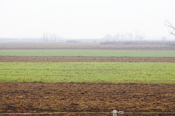 Fertile field at the beginning of the agricultural season: landscape with dug brown earth,...