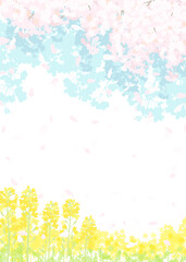 桜と春の空　菜の花畑