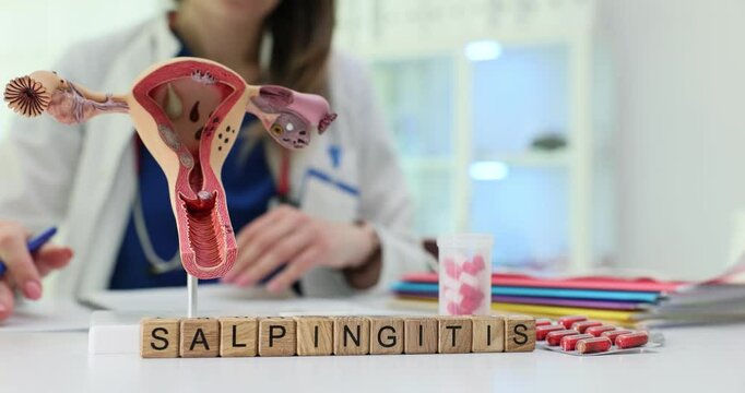 This is an indepth look at a medical educational model that effectively illustrates the condition of salpingitis