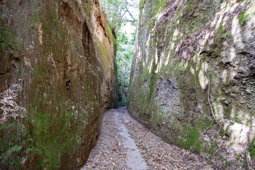 萩別府地区のシラス壁の坂の風景
