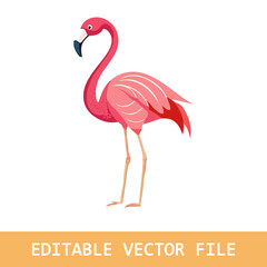 Fototapeta premium Pink flamingo on a white background. Vector illustration.