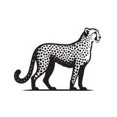 African Animal Silhouettes, Leaping Wildcat, Big cat silhouette collection, silhouette of a cheetah vector illustration, Animals silhouette bundle set in vector style clip art with white background